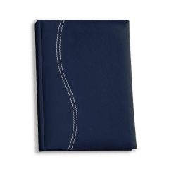 Diary 2025 A5 Page-A-Day Blue & Gold Liquid Des 9 (432905)